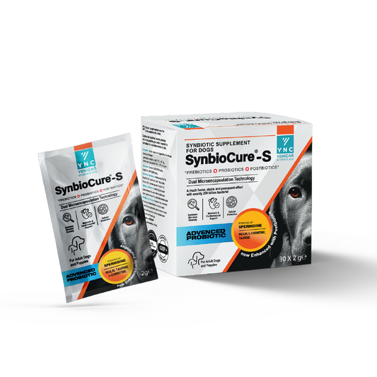 SynbioCure Canine Probiotics + Prebiotics | 30x2g