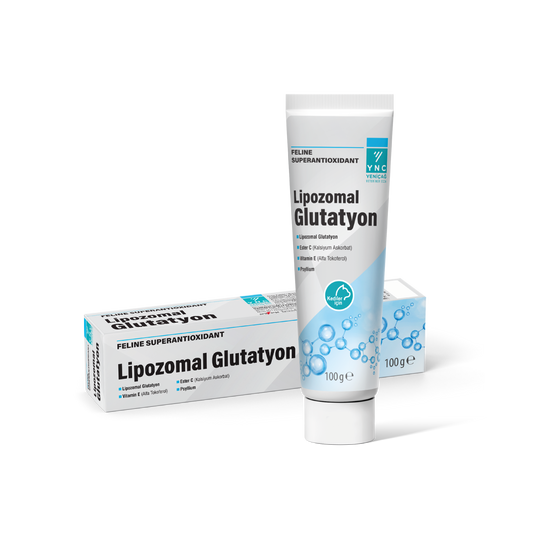 Immune System Support – Yenicag